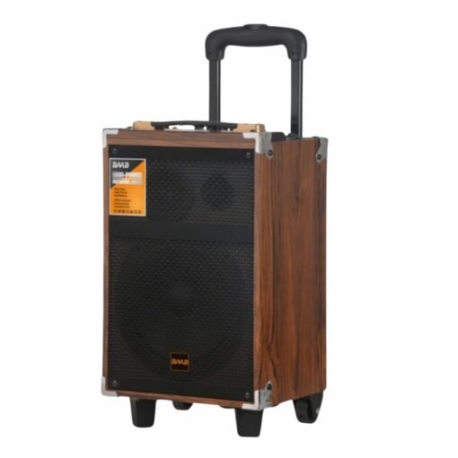 Discover the Ultimate Party Companion: Baab 8-Inch Portable DJ Karaoke Pro Party Wooden Speaker